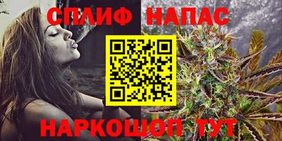 шишки Обнинск