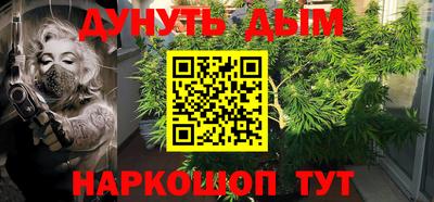 шишки Обнинск