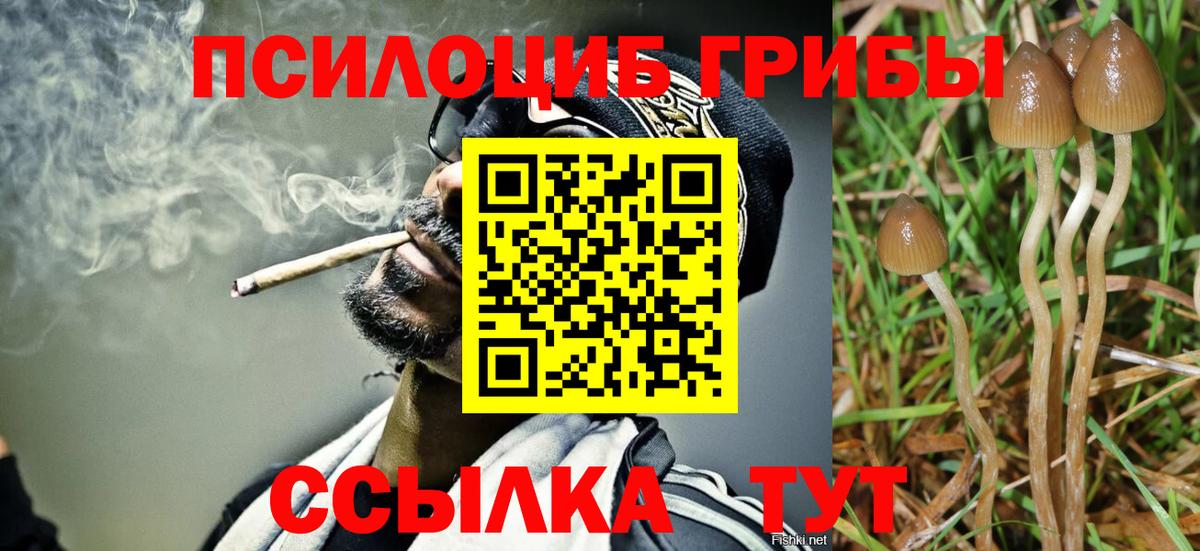 Галлюциногенные грибы мухоморы  Вход с VPN  Асбест  Галлюциногенные грибы Psilocybine cubensis 